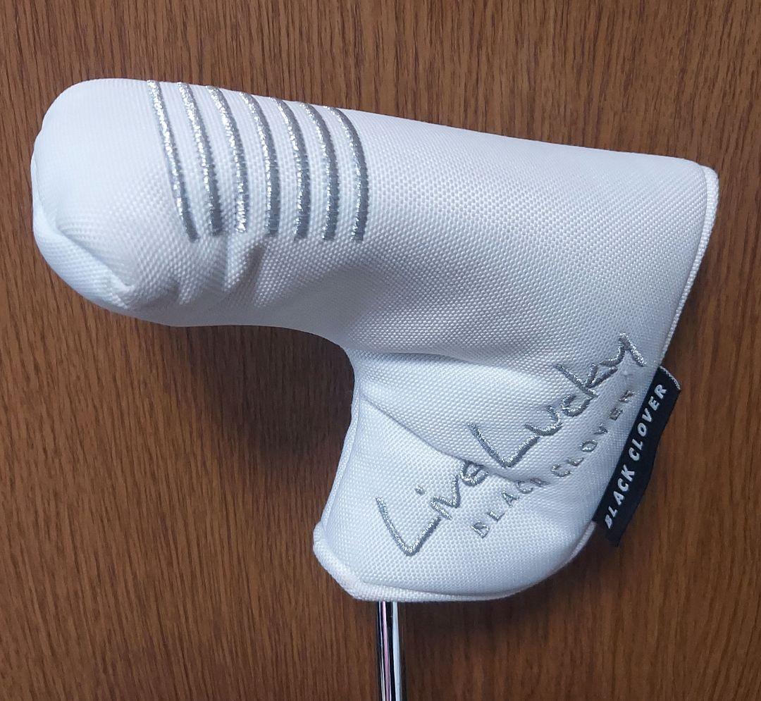 SCOTTY CAMERON select FAST BACKパター