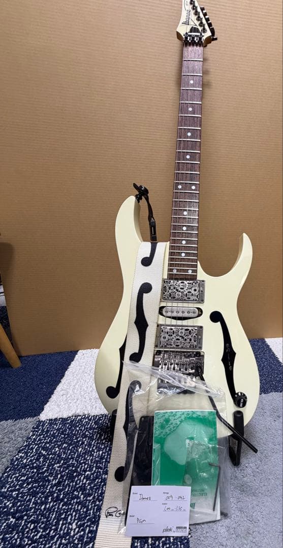 Ibanez アイバニーズ PGM 30