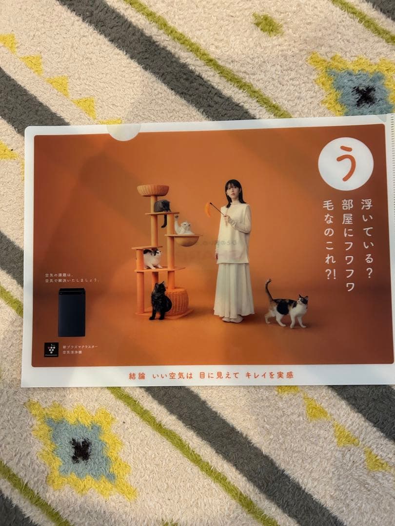 激レア！未使用　浜辺美波　非売品　フルコンプ　くうきのかだい　クリアファイル8枚