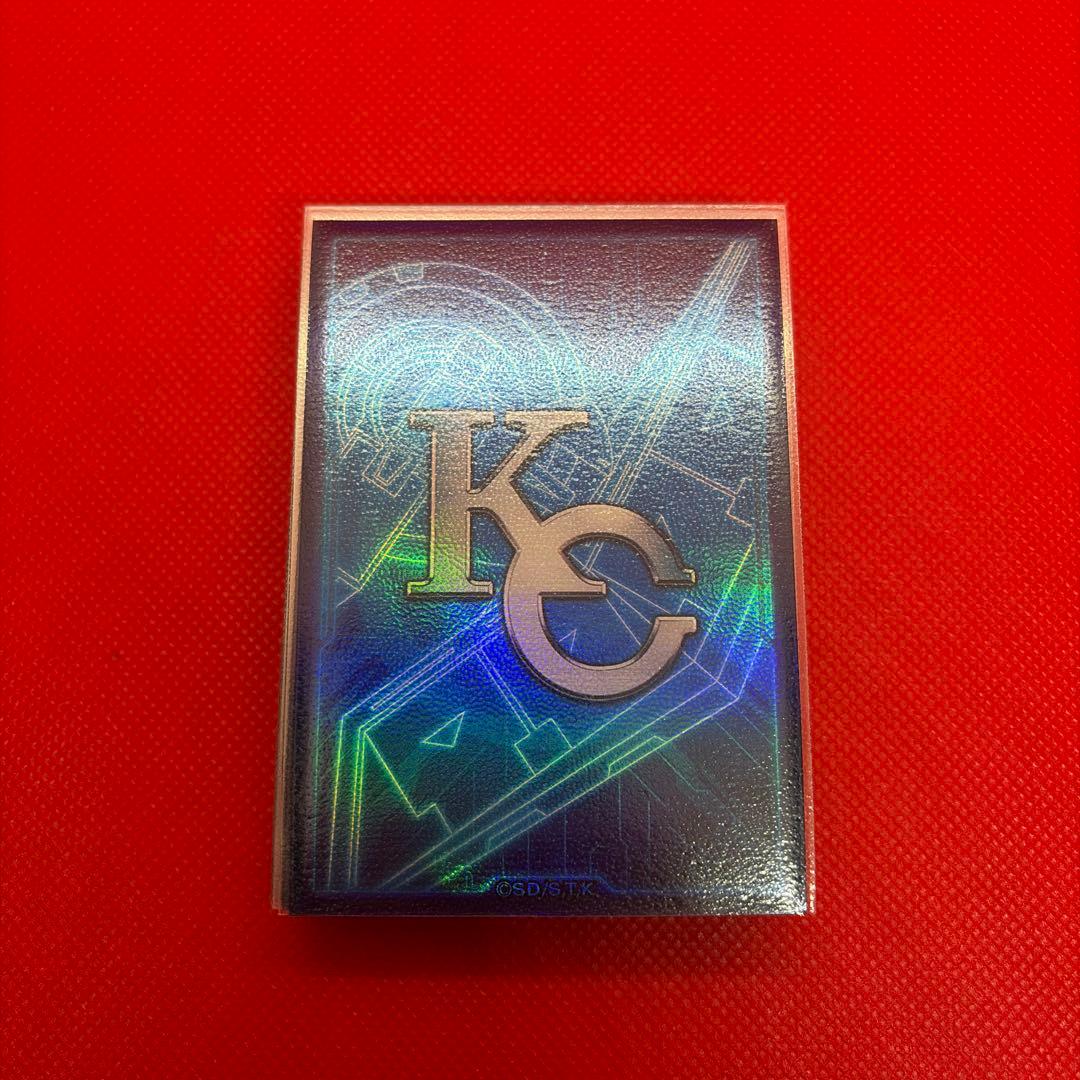 遊戯王　原石青眼デッキ　スリーブ付