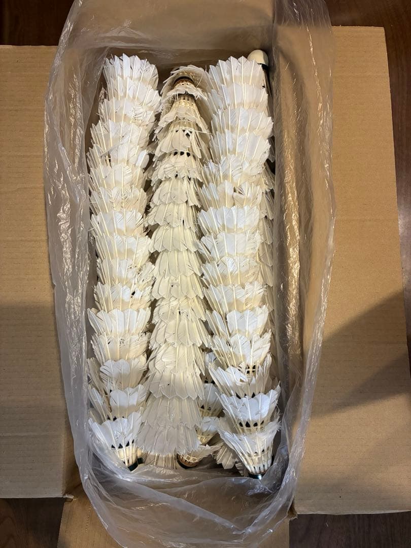 YONEX　ニューオフィシャル とAS-700 【合計250球】