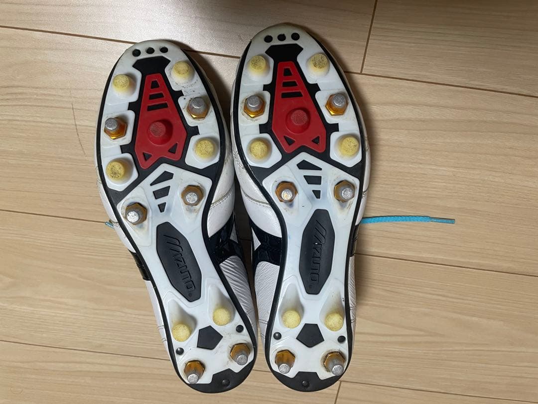 モレリア取り替え式siz26cm