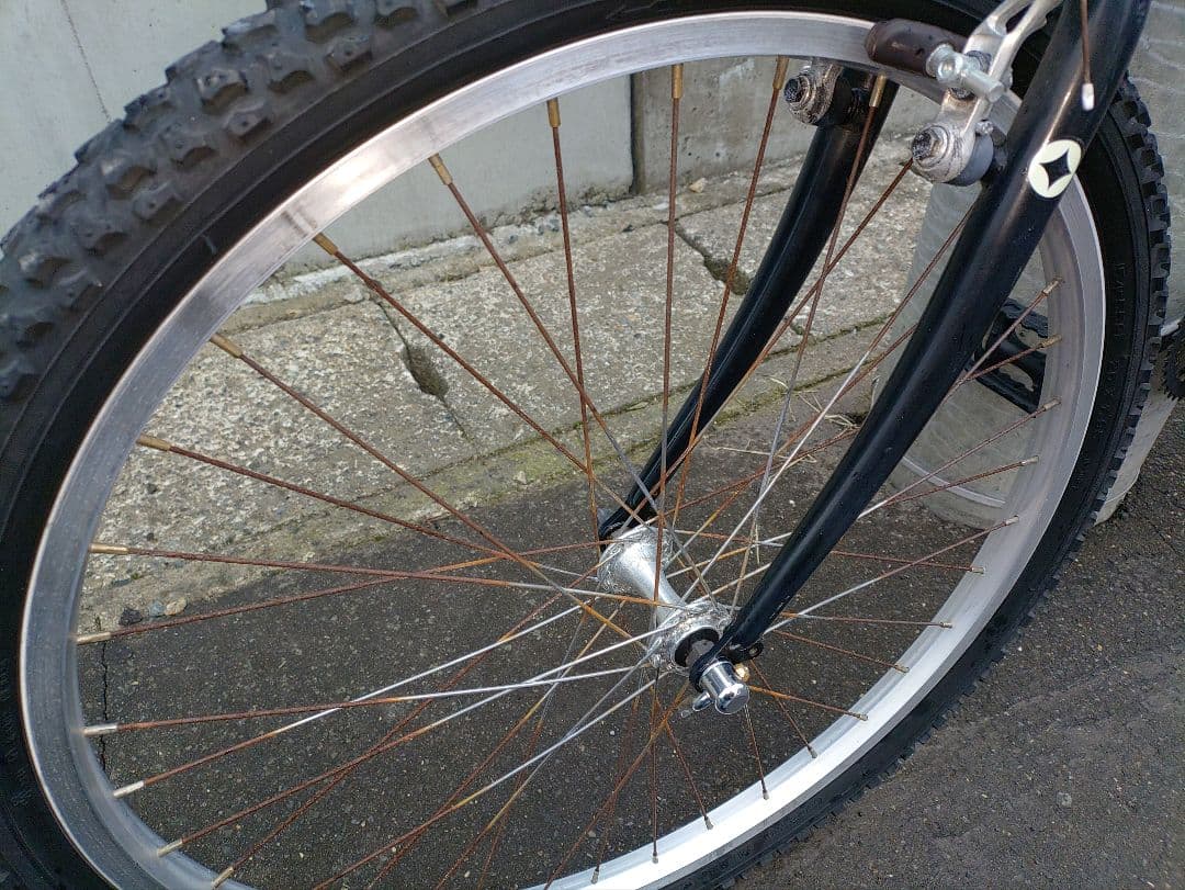 SPALDING COASTLINE 26インチ old MTB クロモリ現状車