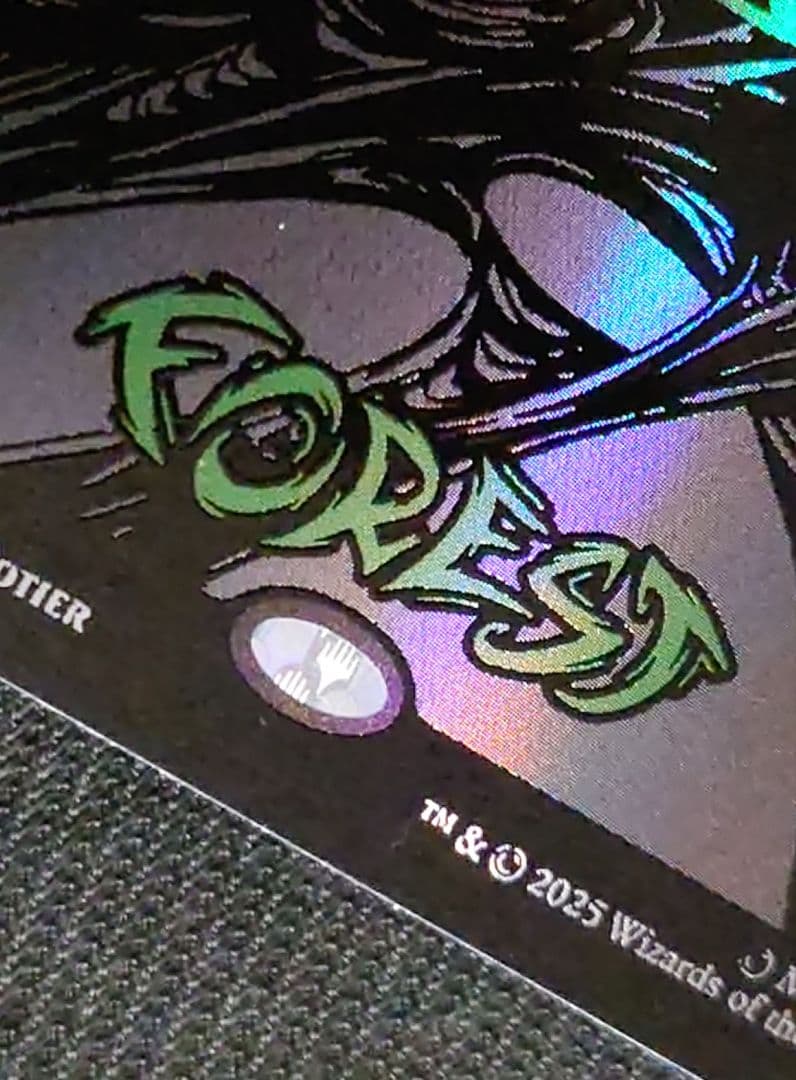 mtg 稀少個体 スパイダーマン レイズドFOIL 基本土地 ５枚セット