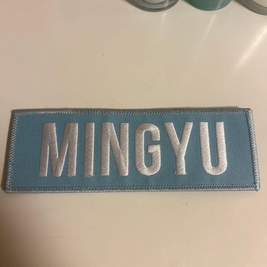 MINGYU ピンバッジ SEVENTEEN 4点 セット ミンギュ