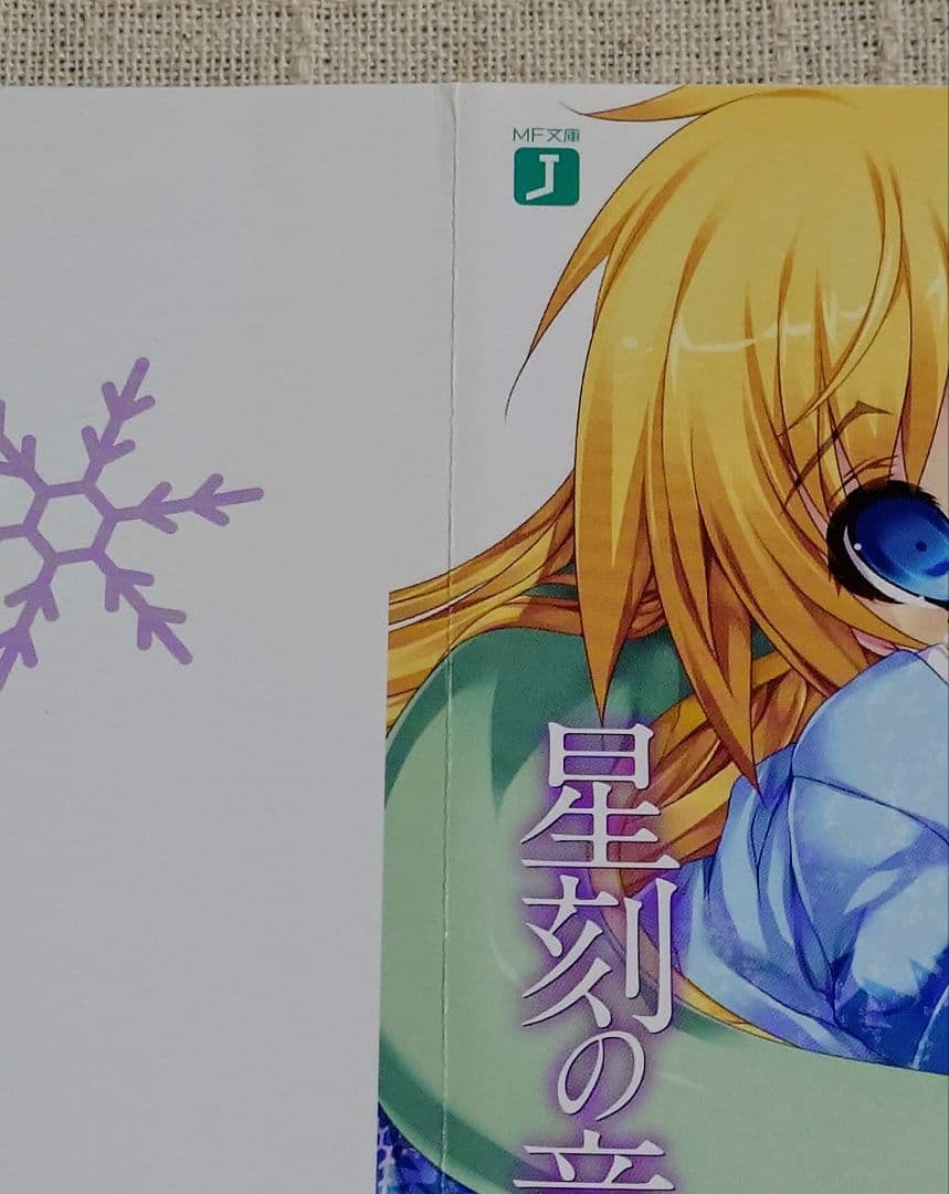 【バラ売り可】星刻の竜騎士（ノベル版）特典ブックカバー　8枚セット