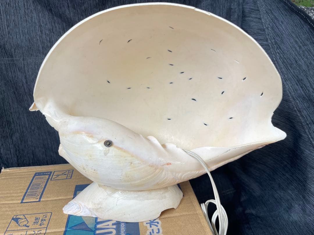 一点物 手彫りシェルランプ 彫刻入り 貝殻照明 大型 約40×50cm