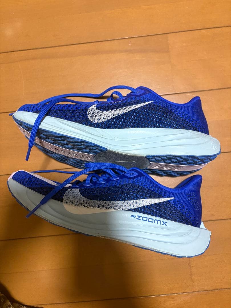 NIKEペガサスプラス 25センチ
