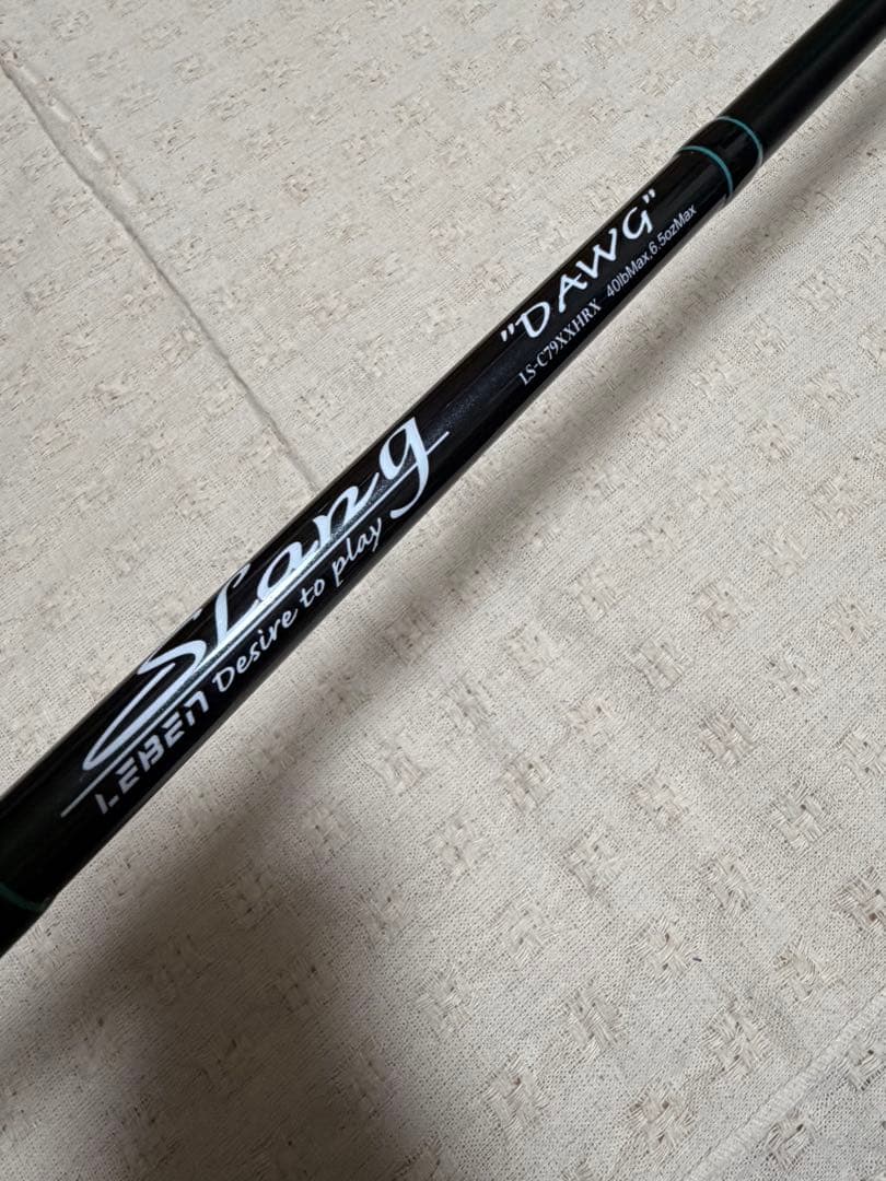 「訳あり」DESIGNO デジーノ スラング　 LS-C79XXHRX dawg