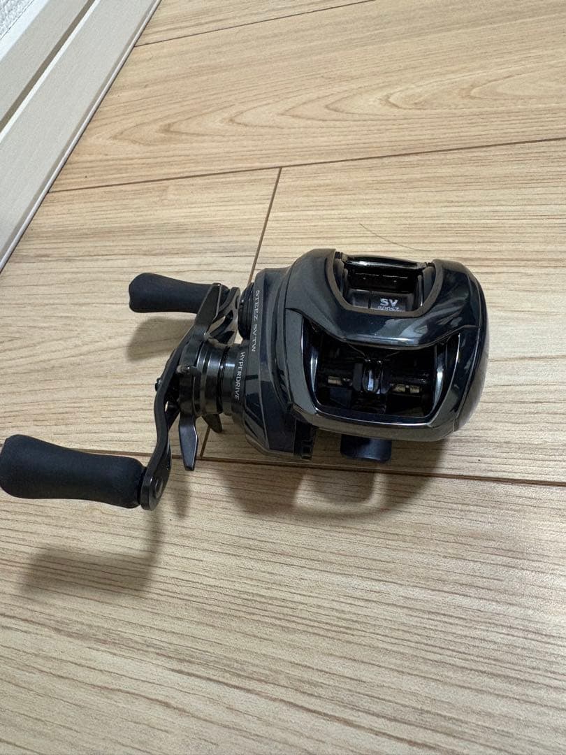 DAIWA 24スティーズ SV TW 100XH