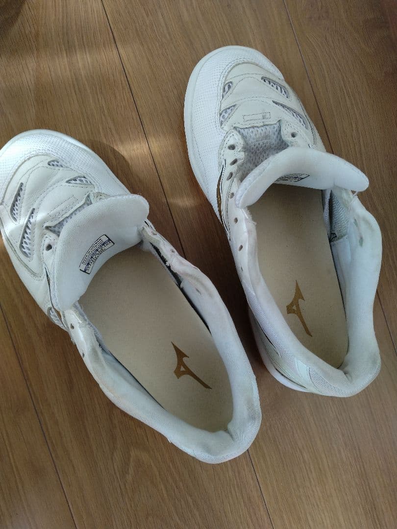 Mizuno ウェーブファング プロ 25.5cm