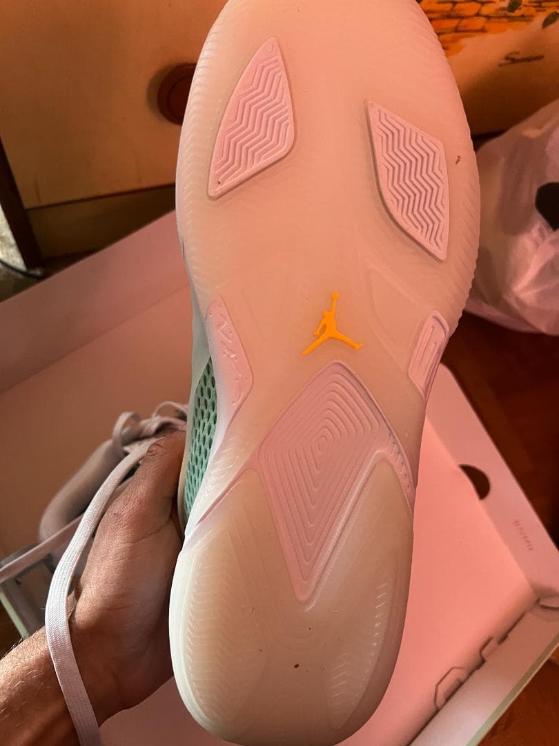 NIKE JORDAN HEIR PF Poolside 31cm 試着のみ