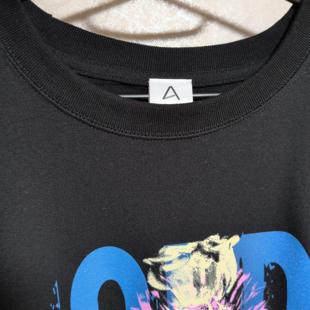 OLD ROSE グラフィックTシャツ　Aqua Timez