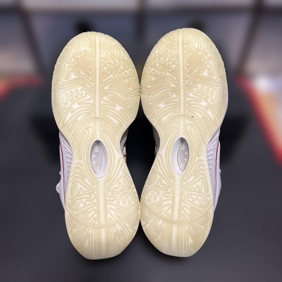 シューズ(男性用) NIKE LEBRON 21 EP