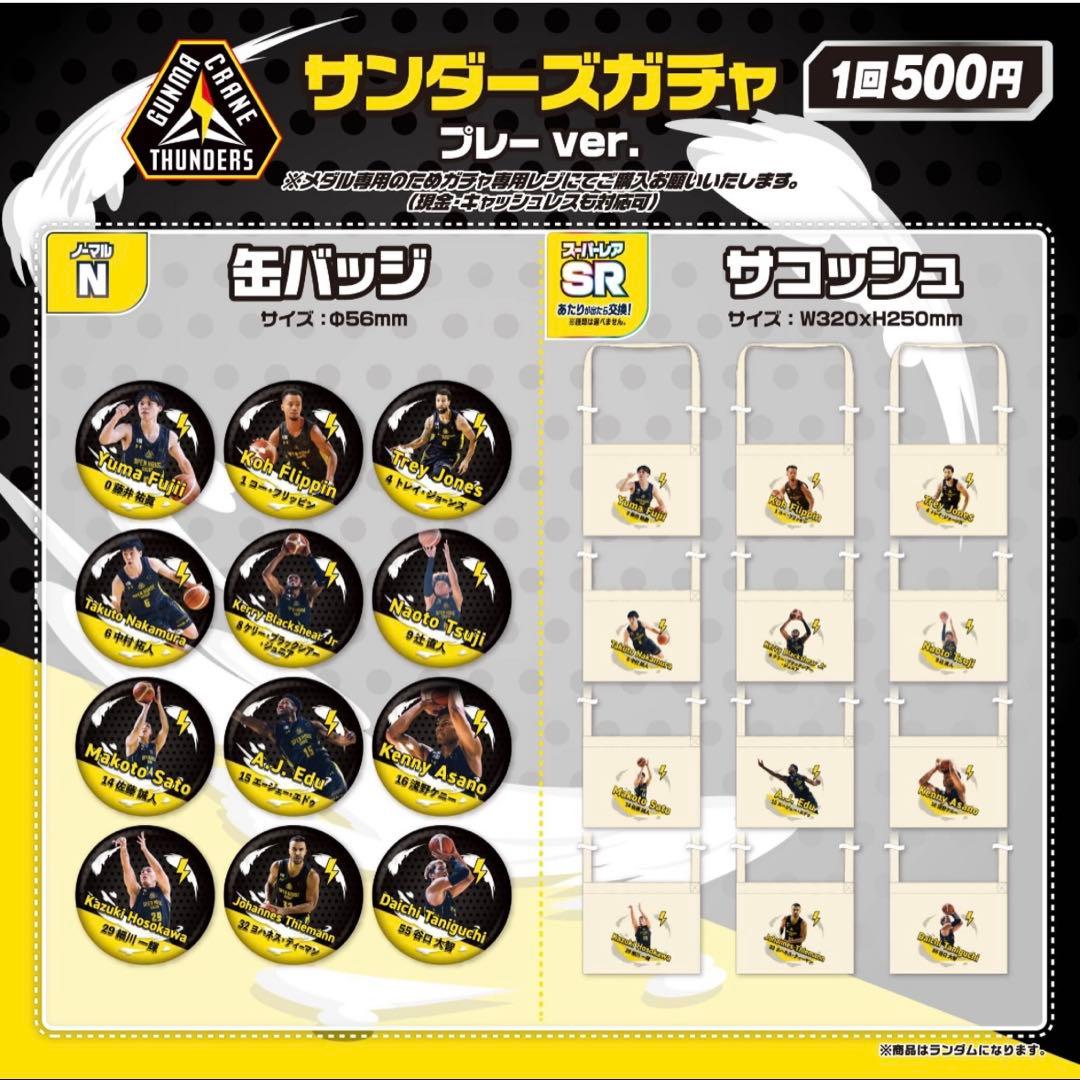 群馬クレインサンダーズ 缶バッジ 12人フルセット 藤井祐眞、辻直人、トレイ等