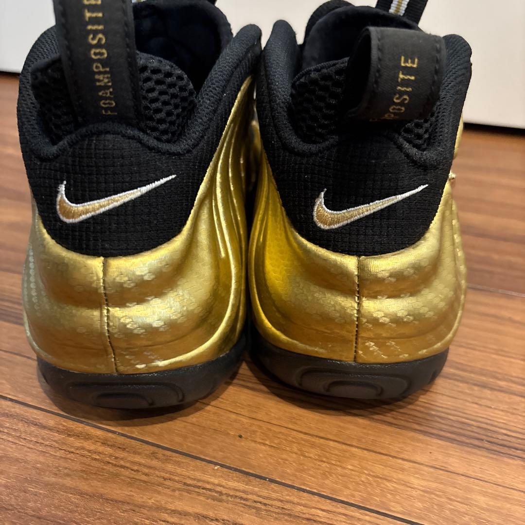 NIKE エアフォームポジットプロ