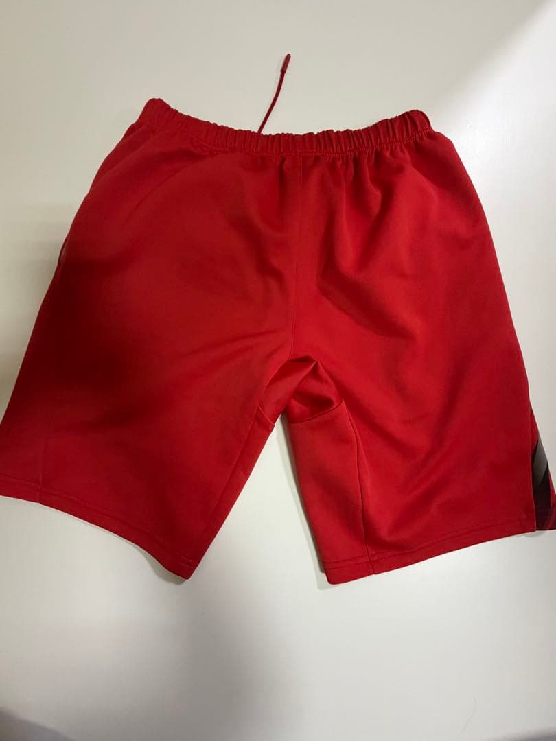 YONEX ハーフパンツ Ｌサイズ　廃盤商品　レア