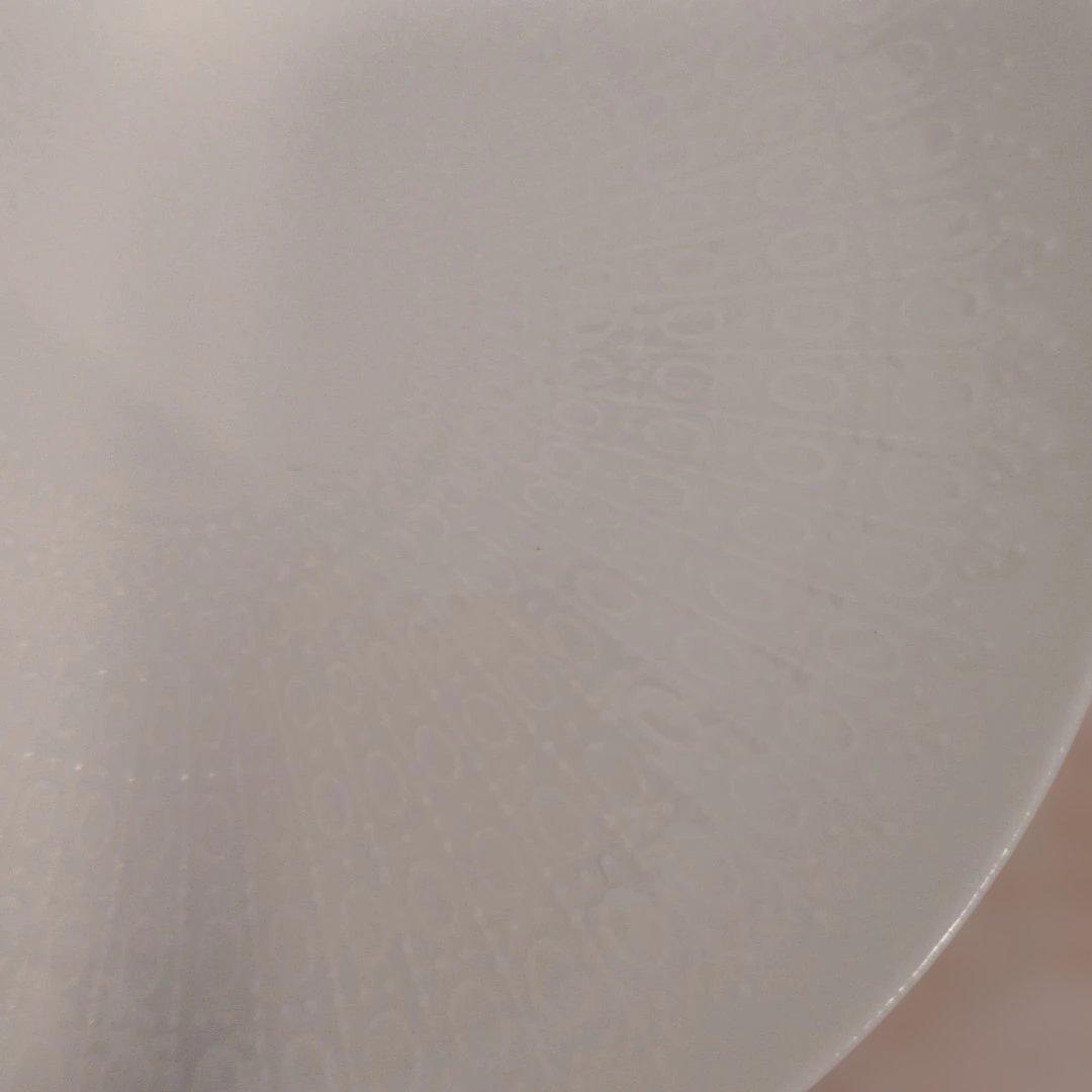 【未使用】ローゼンタール・ロマンスホワイト 5枚セット15cm