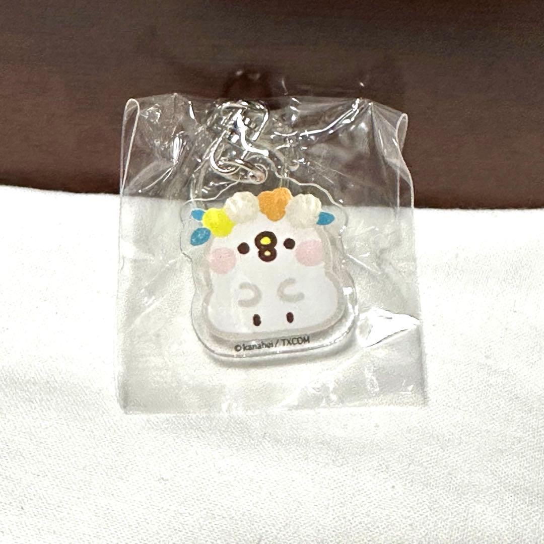 カナヘイ　ピスケとうさぎ　ヴィレッジヴァンガード限定　アクリルキーホルダーセット