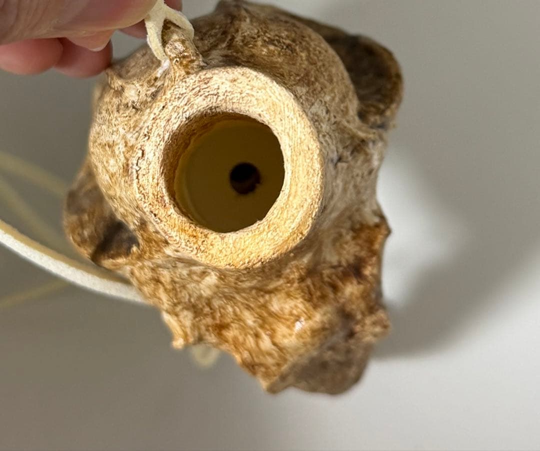 デスホイッスル　楽器・アクセサリーにも