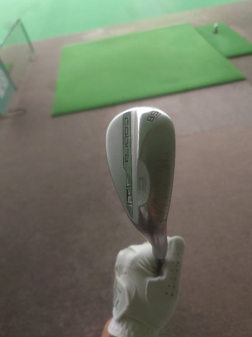Cobra 58度 スネークバイト　DG105S
