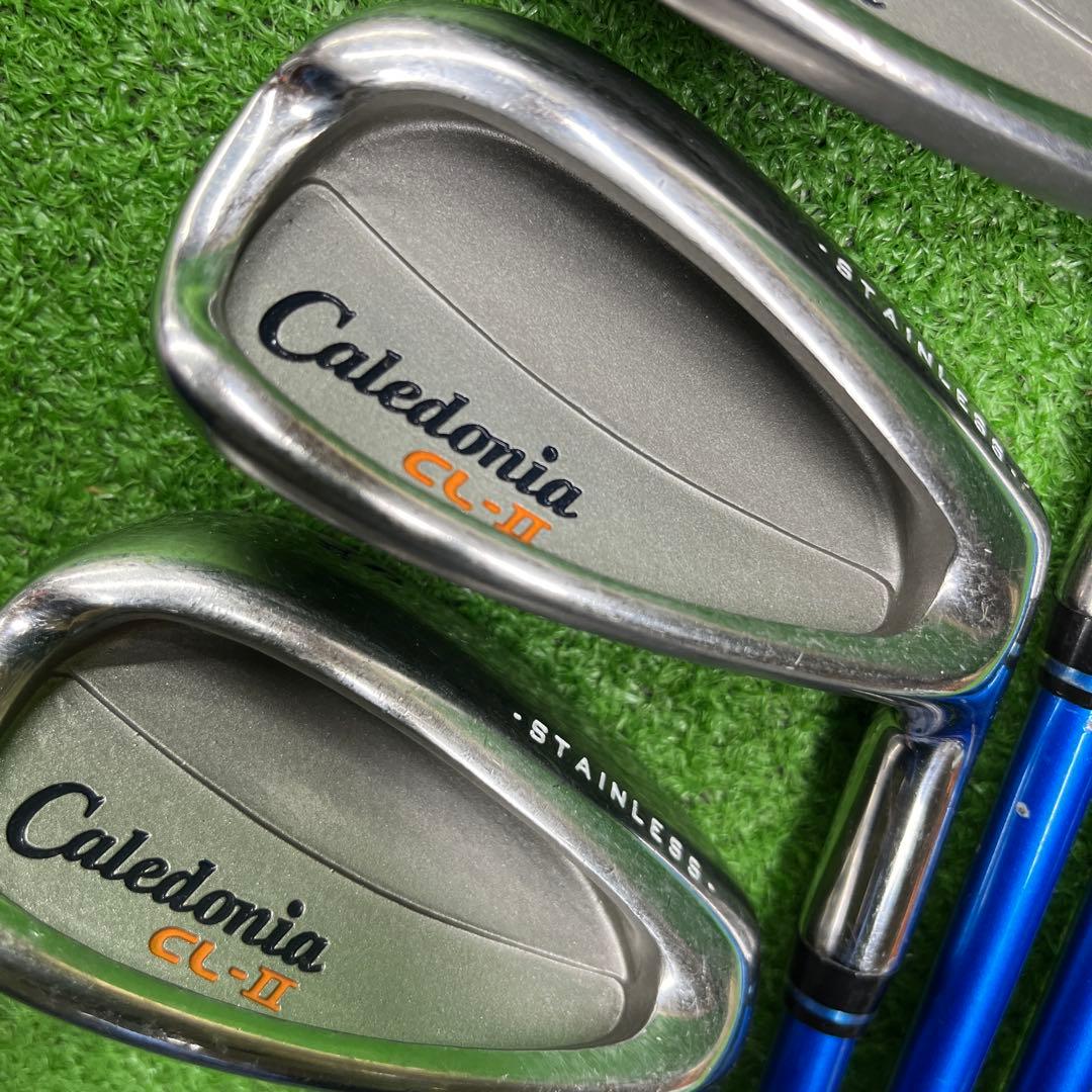 寶TIS-595 Caledonia #6-8.Sw アイアンセット レディース