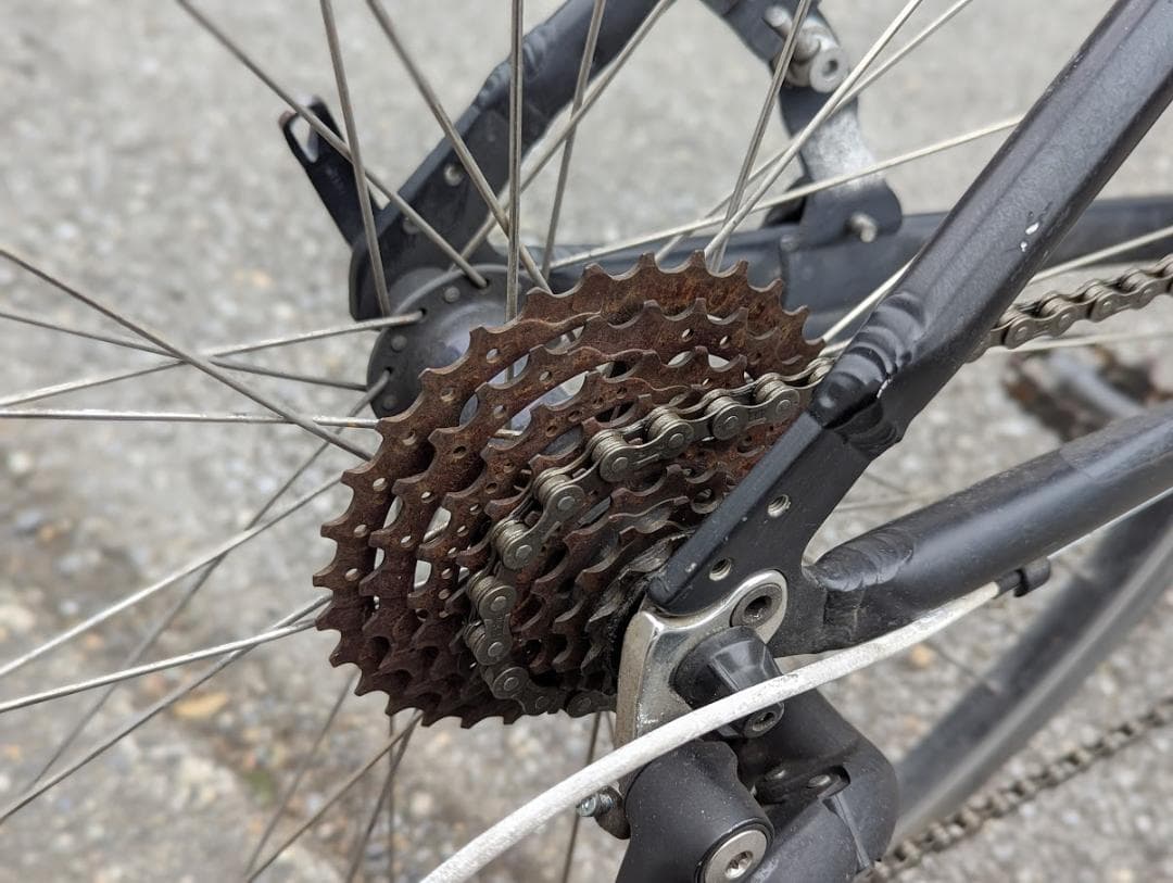 【値引き有】Louis Garneau ルイガノ chasse 3×8速