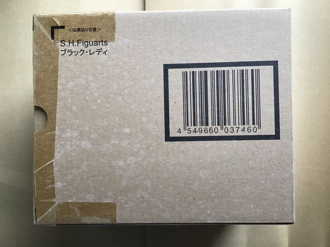 S.H.Figuarts 美少女戦士セーラームーン　ブラックレディ