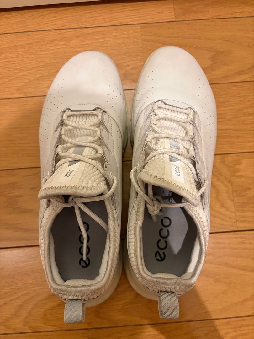 ecco バイオム C4 BIOM サイズ42