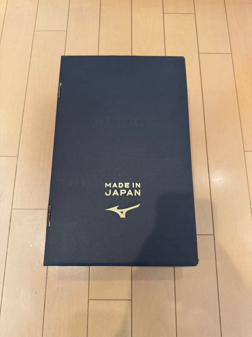 Mizuno モレリアNE Ⅳ β Japan 28.5