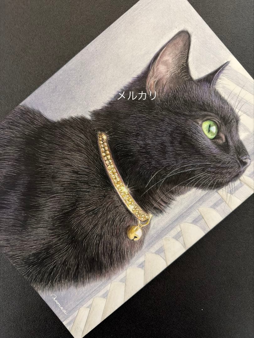 色鉛筆画 A4光を見つめる黒猫