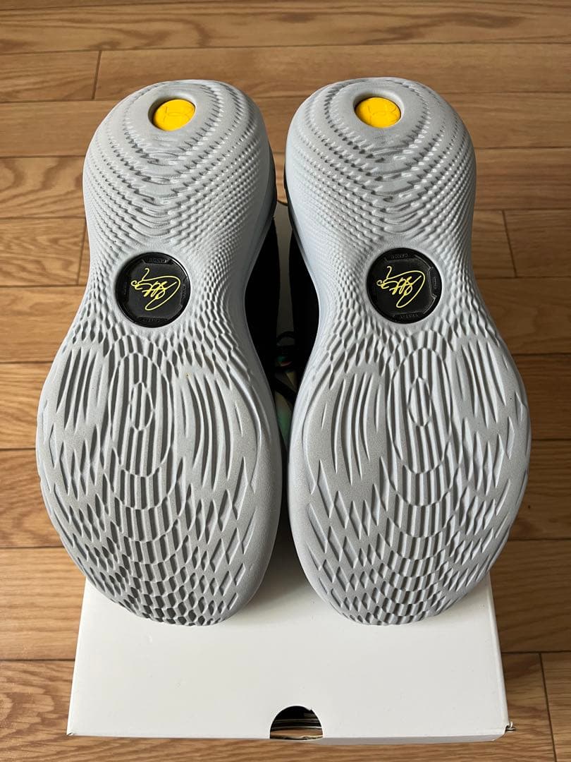 CURRY 12 25センチ