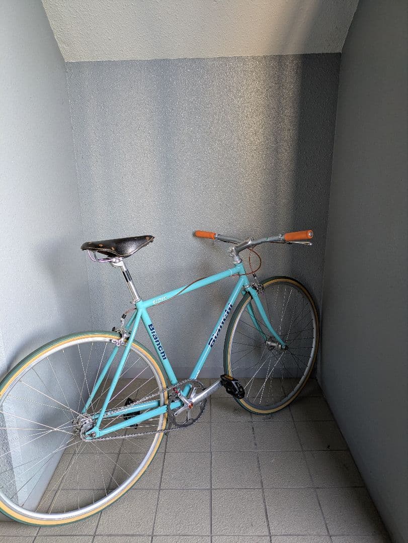 希少❗️Bianchi Pista シングルスピードフレーム 水色
