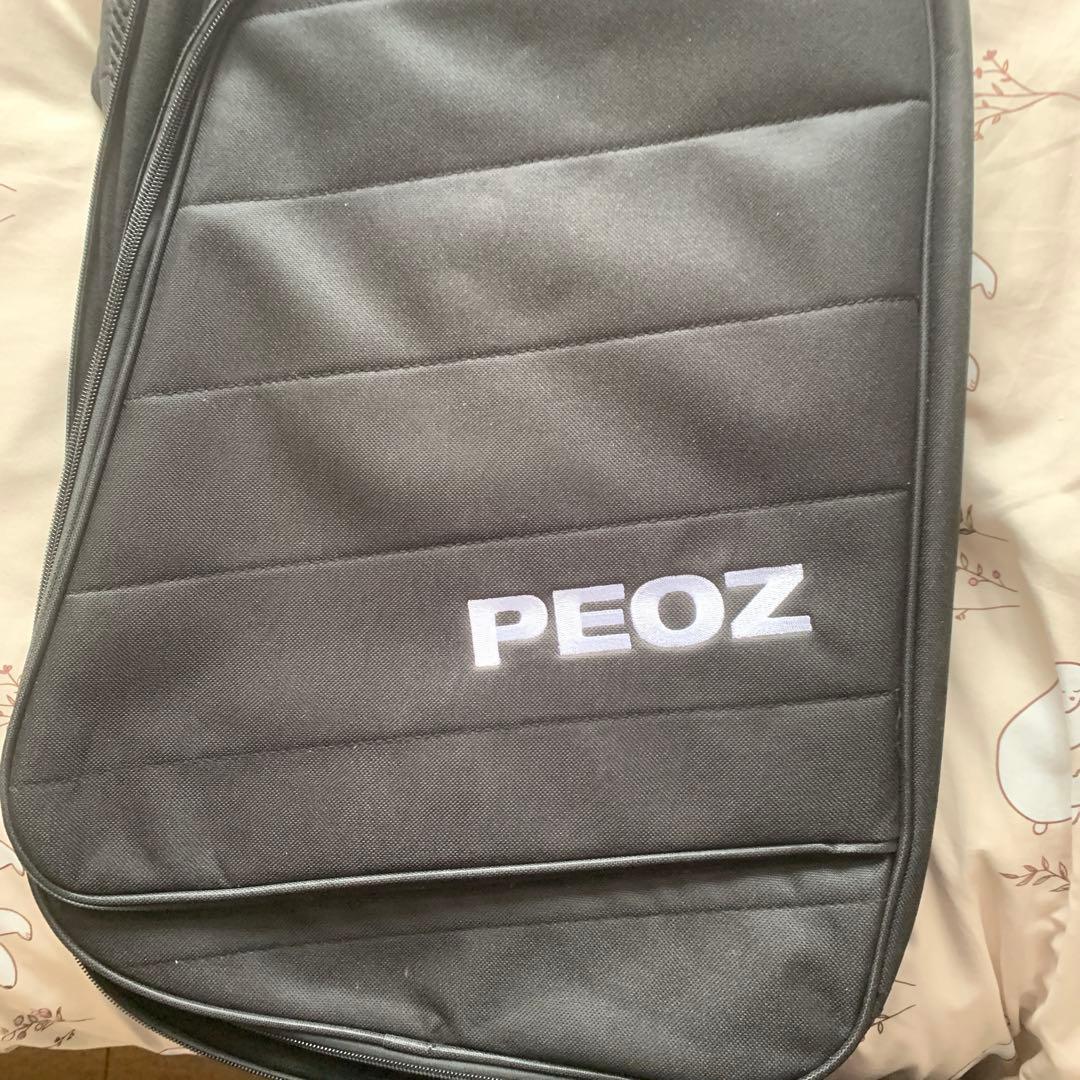 PEOZ スマートギター フルセット 別売りC to C充電器付属
