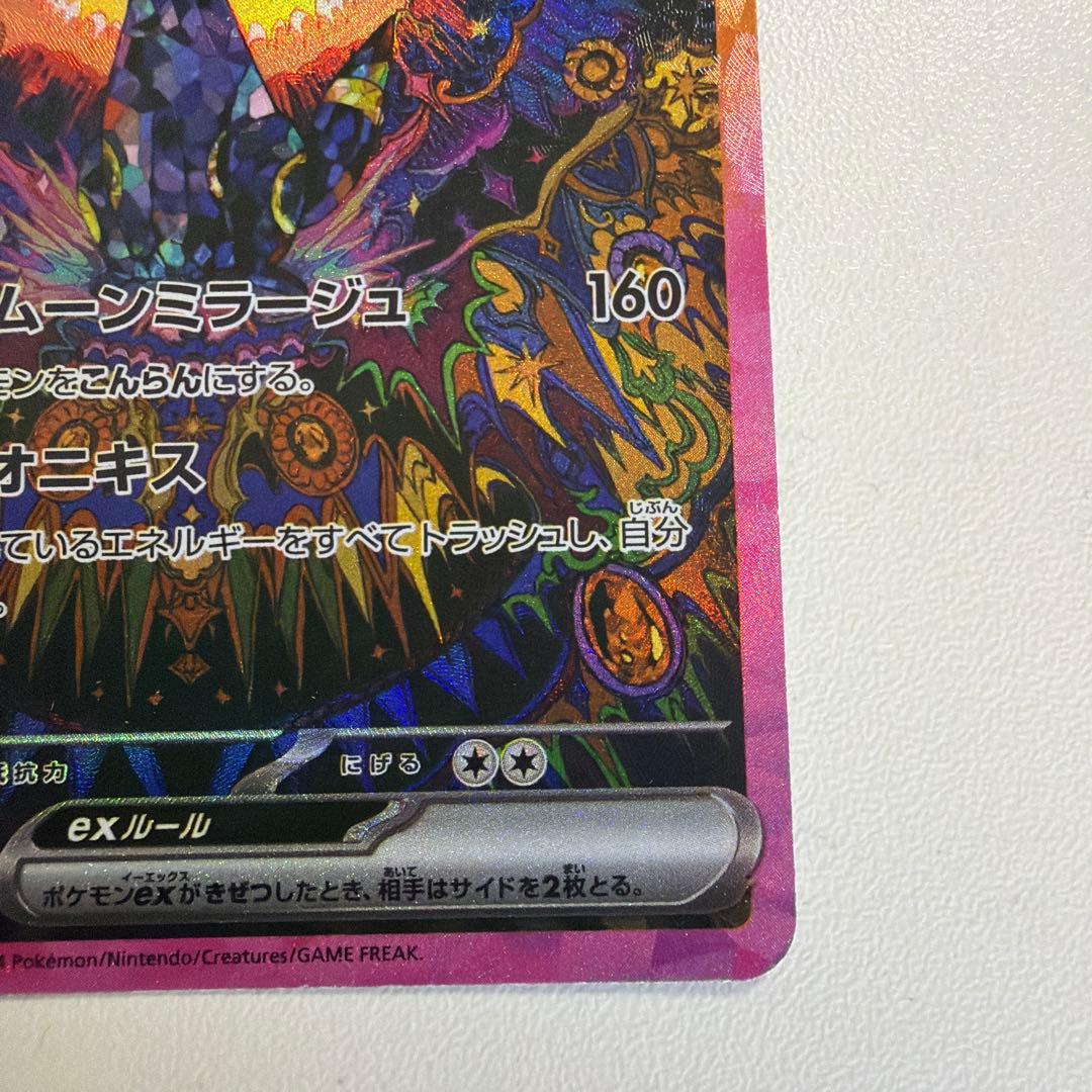 ブラッキーex SAR テラスタルフェス