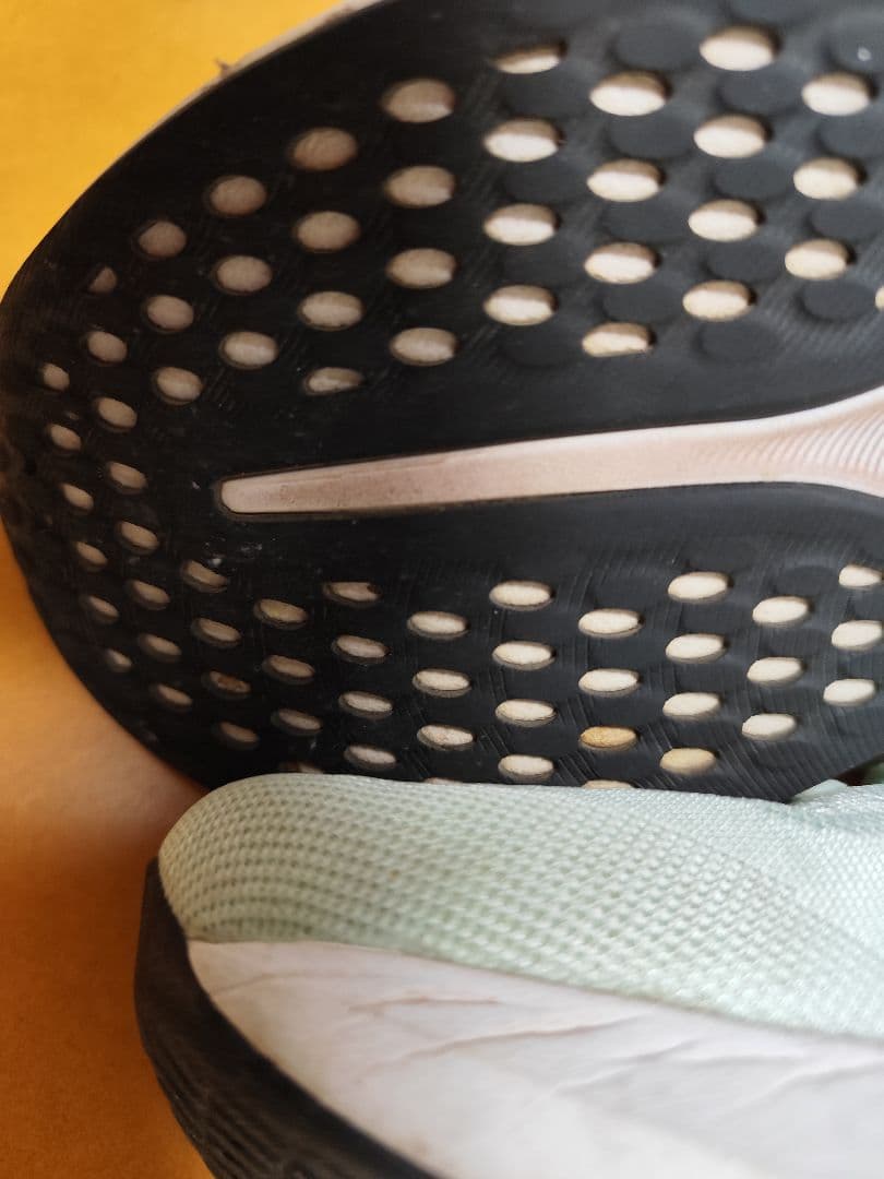 asics(アシックス) EvoRide Speed 3 27cm 中古品