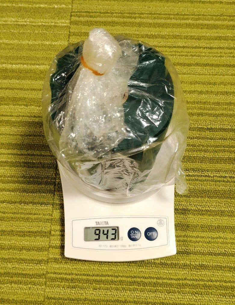 セラバンド　トレーニング　レクトレバンド45　緑色　中