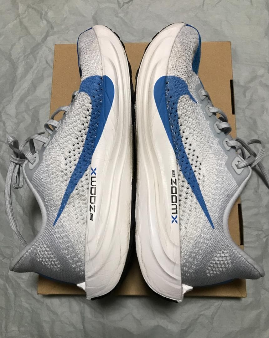 NIKE ナイキ ペガサス プラス メンズ 25.0cm