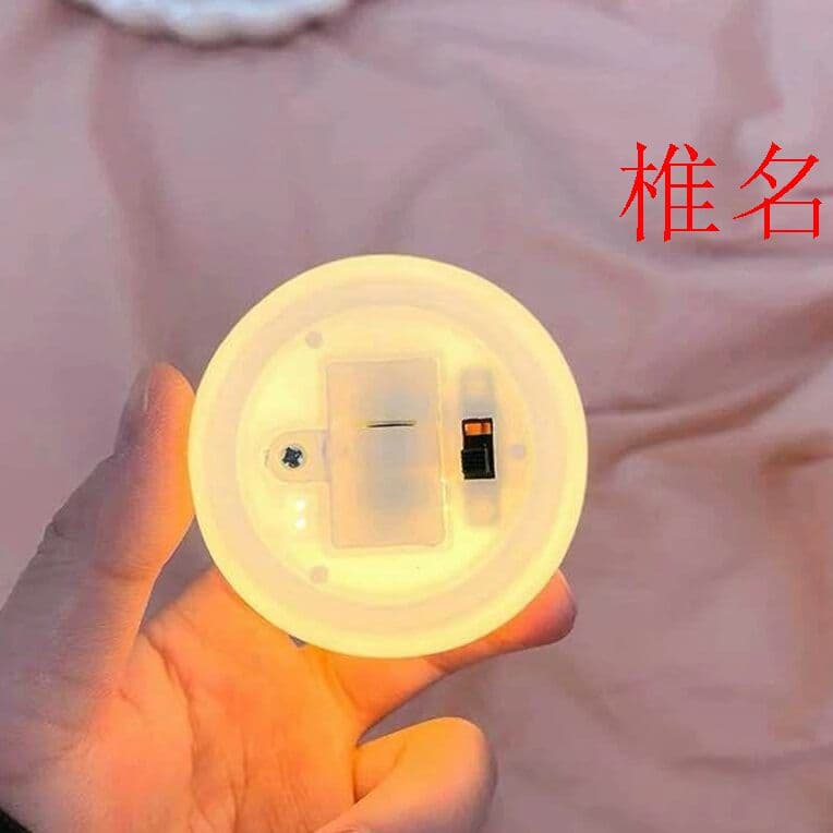 新品シェルランプ   貝殻灯   収納する?