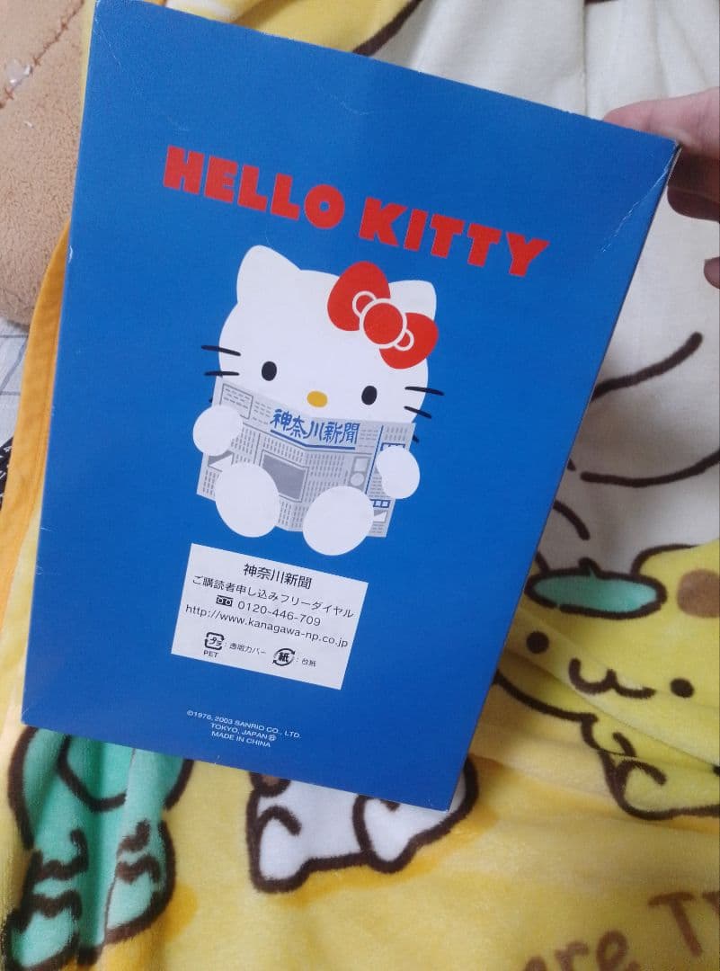 【希少】ハローキティ ぬいぐるみ 神奈川新聞 限定品 サンリオ