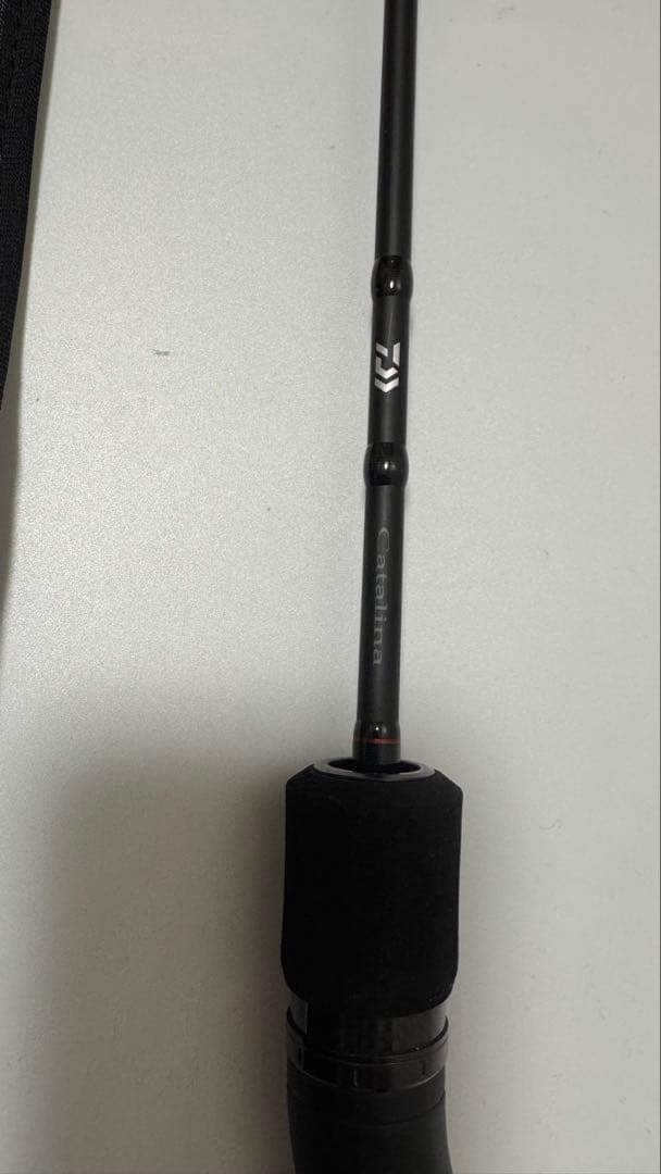 ロッド DAIWA Catalina SJ 60B-4