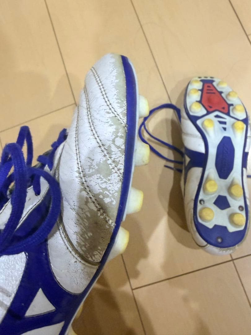 モレリア2 青限定色　田中碧