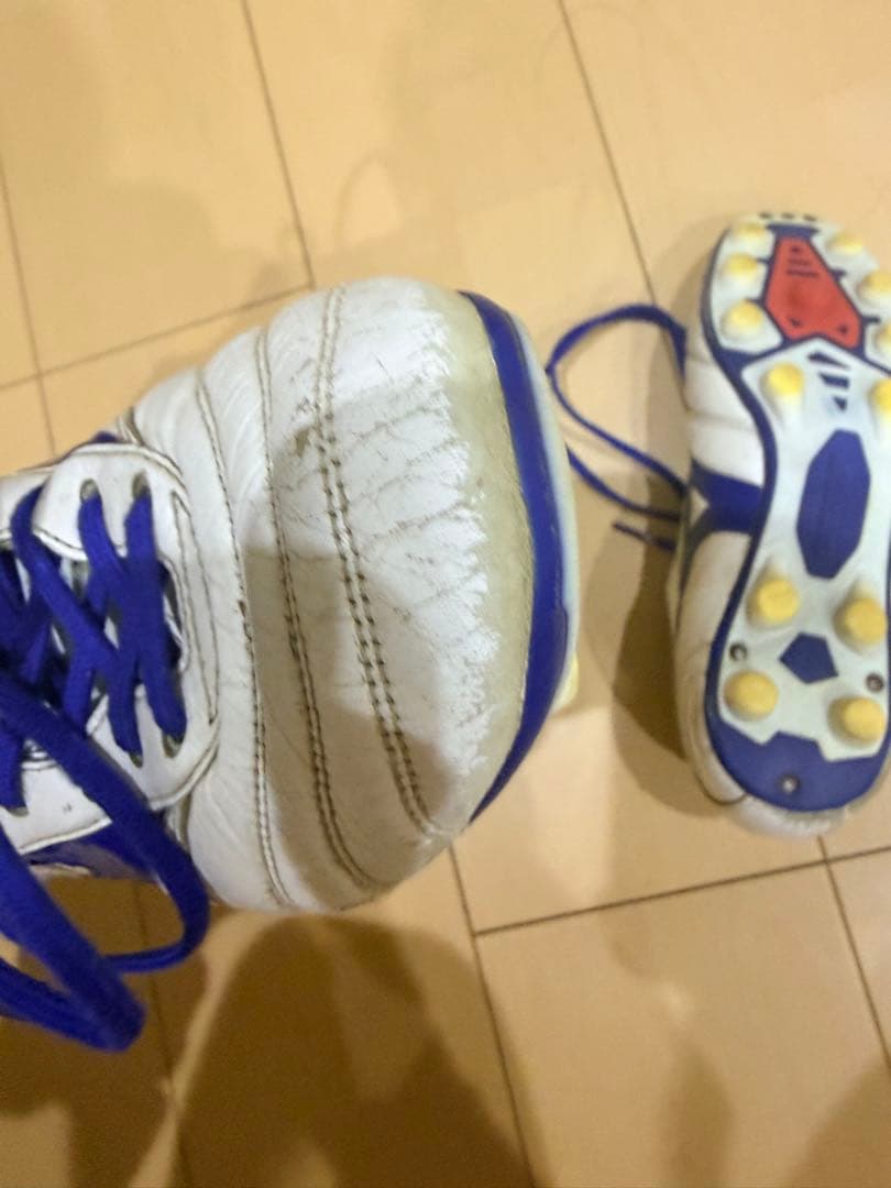 モレリア2 青限定色　田中碧