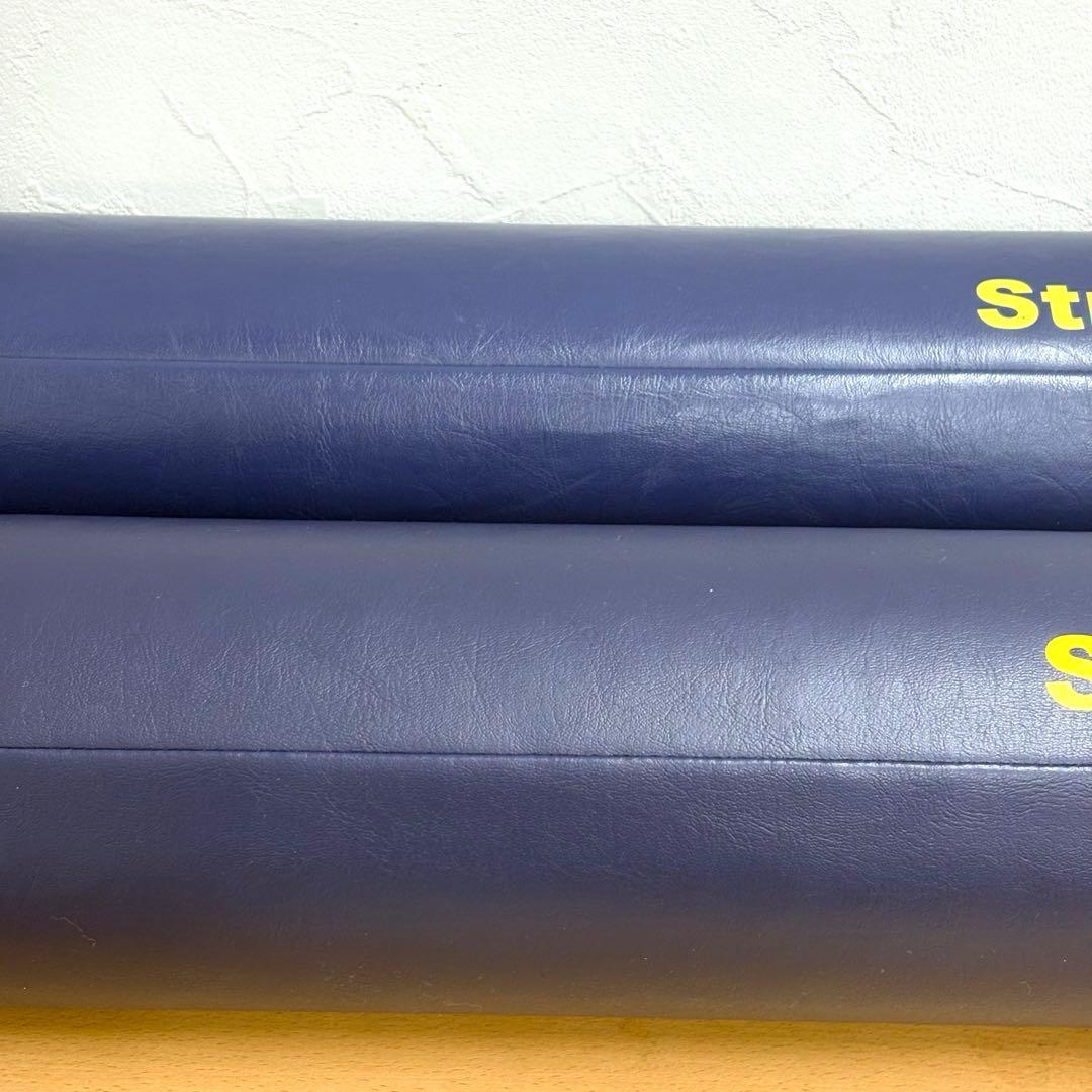 【2本セット】LPN StretchPole EX ストレッチポール ネイビー
