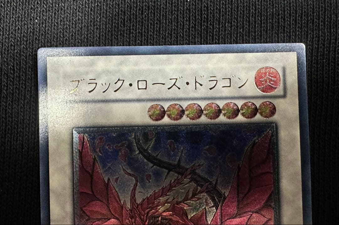 ブラック・ローズ・ドラゴン　レリーフ　美品　①