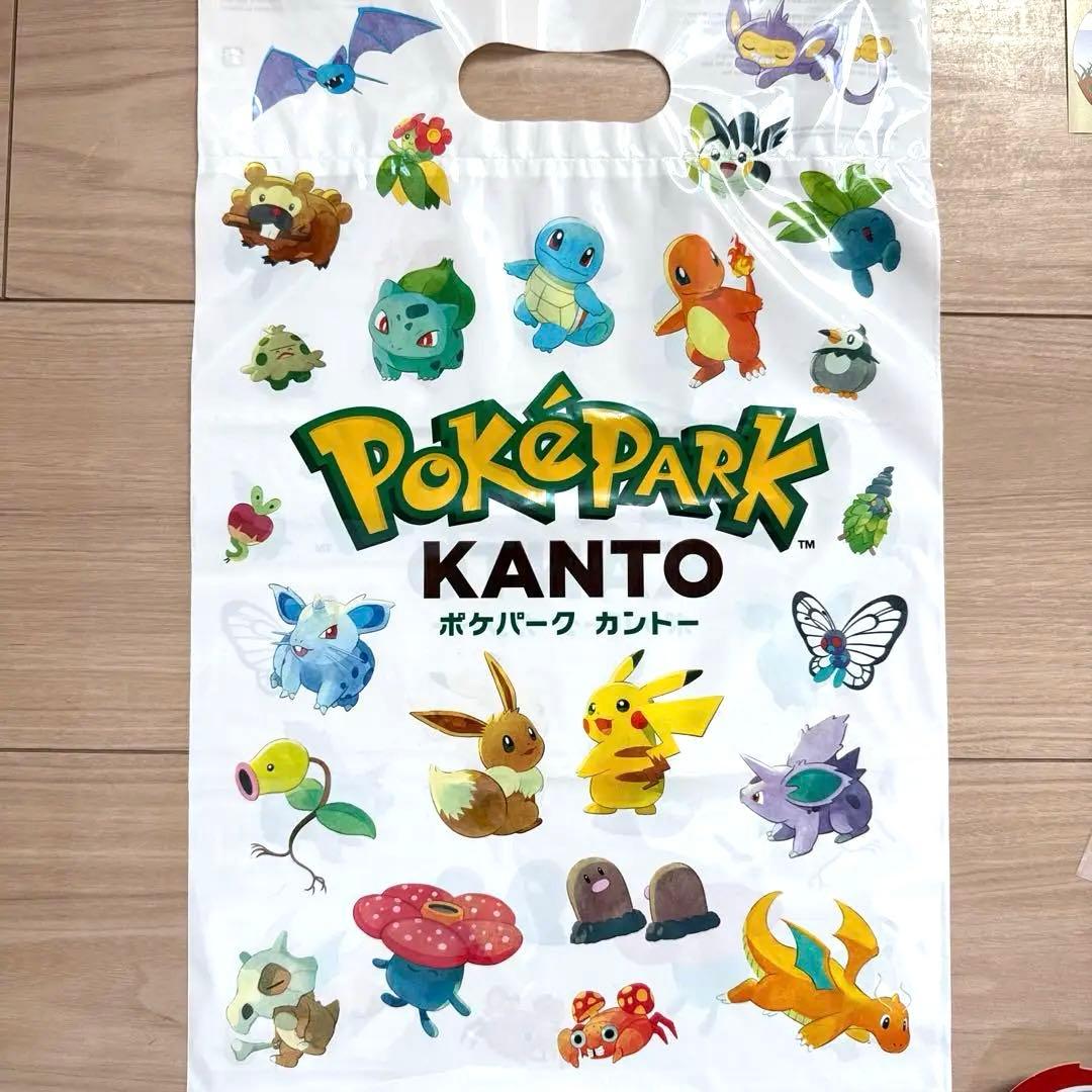 ポケパークカントー 限定　ピンズ　12個セット　未使用ショッパー　おまけ付き