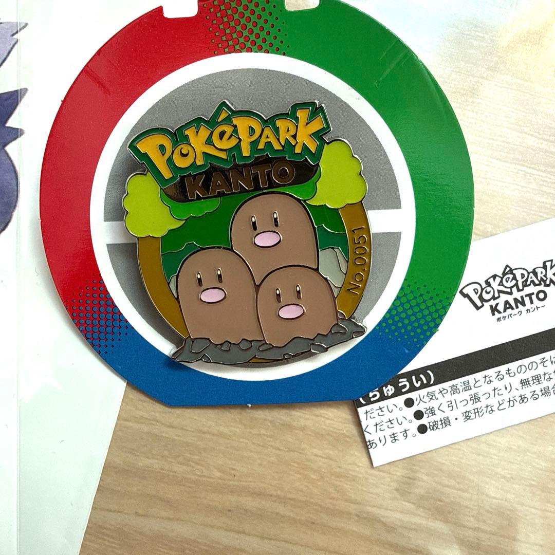 ポケパークカントー 限定　ピンズ　12個セット　未使用ショッパー　おまけ付き