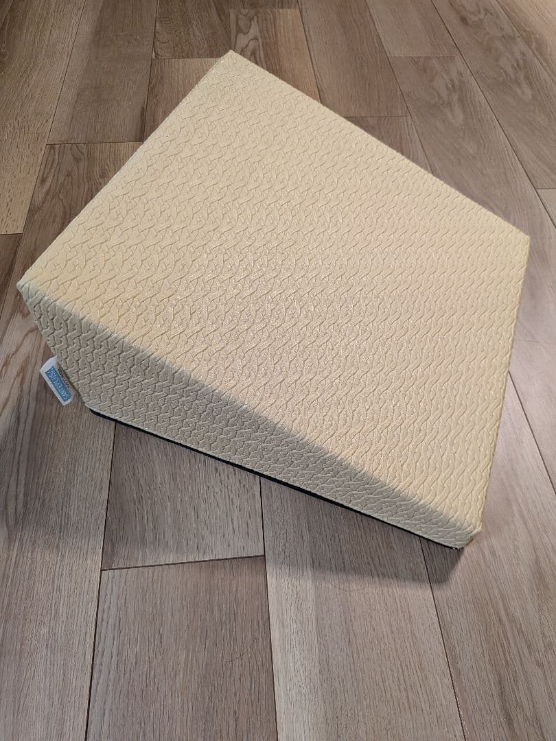 SANTEPLUS 傾斜クッション ベージュ