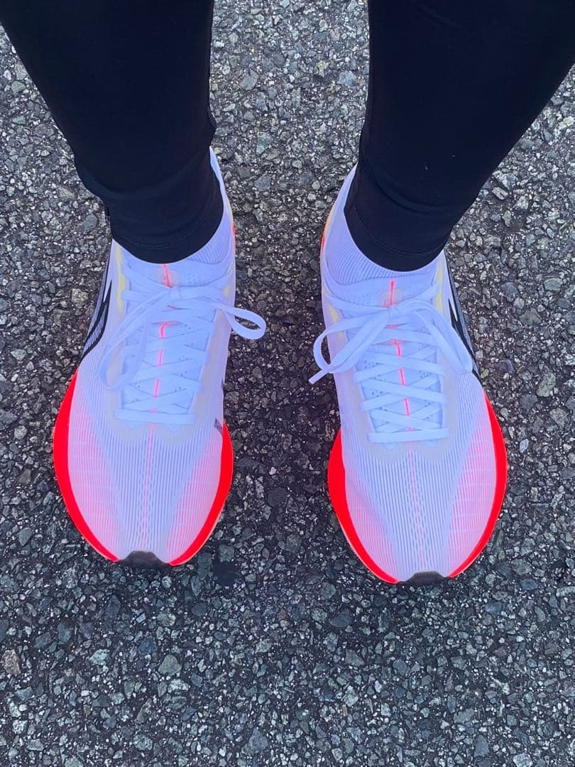 スパイク・シューズ LI-NING FEDIAN 5.0 ELITE 25.0cw
