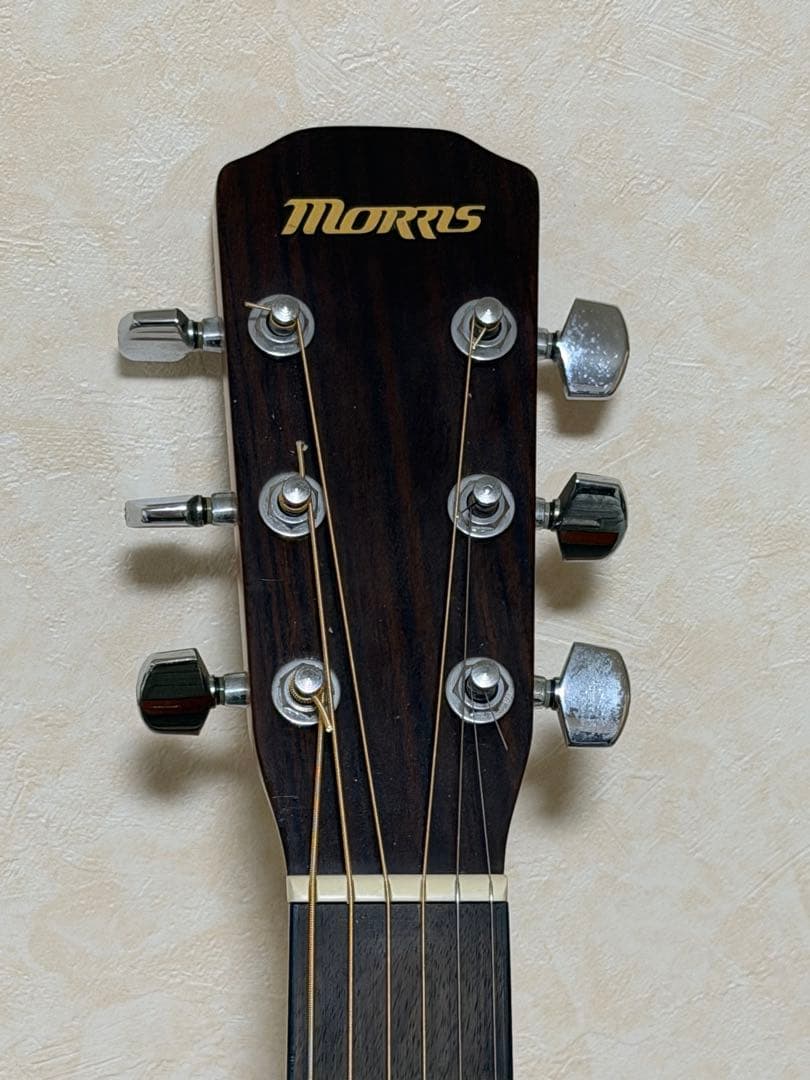 出会った時が最後のチャンス！モーリス（Morris）F-25TS 美品